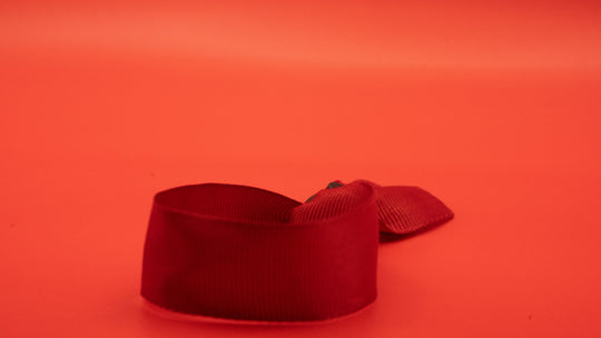BandGuard Colour – Hotel Wristband Cover Bracelet